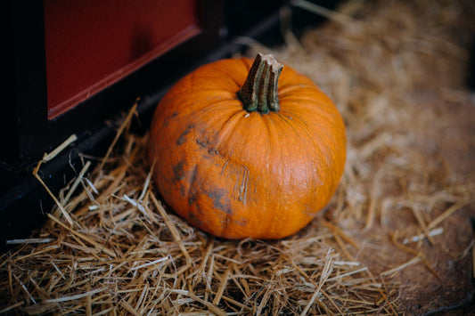Halloween Product Badges For Shopify Without Clutter
